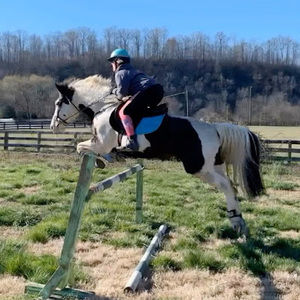 Meet your Posher, Ashton